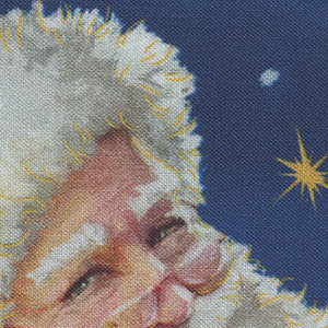 Up on the Housetop - Blue Christmas | Quilting Treasures 29704-N