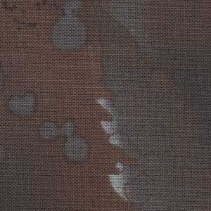 Fossil Fern - Bitter Chocolate | Benartex 00528-0N