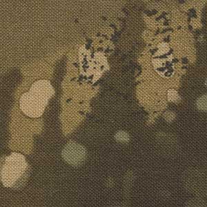 Fossil Fern - Golden Pond | Benartex 00528-59