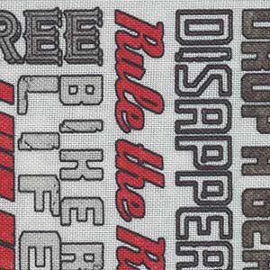 Ride Free - White Novelty Fat Quarter | Quilting Treasures 28773-Z