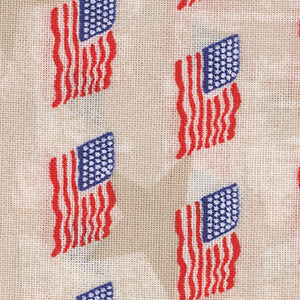 We the People - Cream Patriotic | Windham Fabrics 52589-1