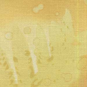 Fossil Fern - Shutter's Gold | Benartex 00528-34