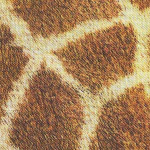 Animal Kingdom - Gold Novelty | Robert Kaufman SRKD19872-286