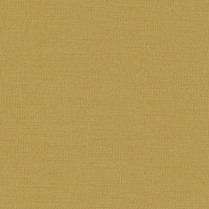 Century Solids - Gold Blender | Andover CS10-HONEYCOMB