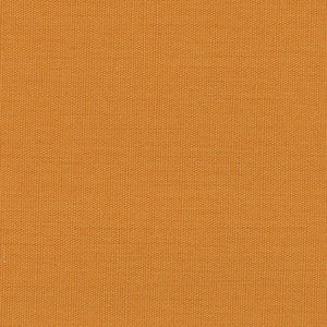 Century Solids - Gold Blender | Andover CS10-BUTTERNUT SQUASH