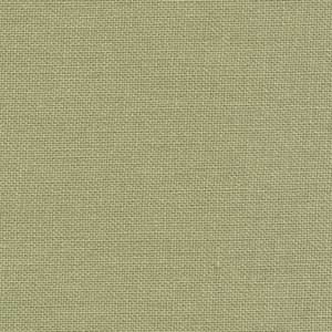 Bella Solids - Sage | Moda 9900-035