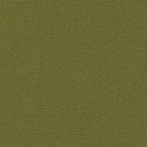 Bella Solids - Pickle | Moda 9900-308