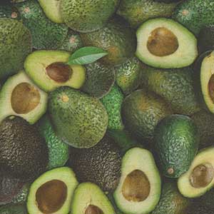 Fresh - Green Novelty Fat Quarter by Quilting Treasures