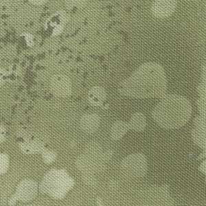 Fossil Fern - Sagebrush | Benartex 00528-30