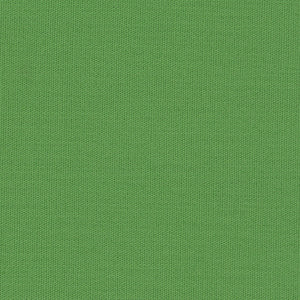 Century Solids - Green Blender | Andover CS10-PICKLE