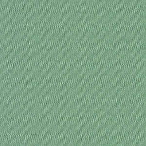 Century Solids - Green Blender | Andover CS10-JADE