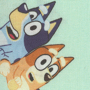 Bluey & Bingo Best Friends - Green Novelty | Miscellaneous 124655