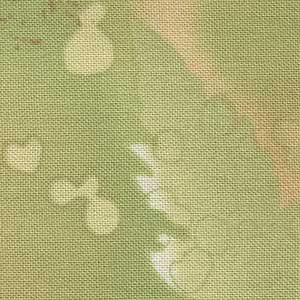 Fossil Fern - Toast | Benartex 00528-33