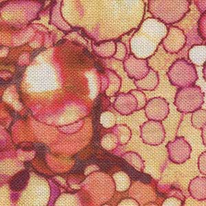 Bliss Basics - Peach Geometric Fat Quarter | Northcott DP23887-58
