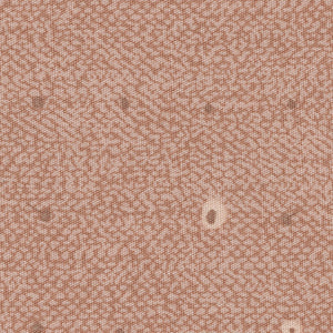 AGF Seedling - Peach Blender Fat Quarter | Miscellaneous SDL-20110-CLAY