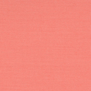 Century Solids - Peach Blender | Andover CS10-PEACH