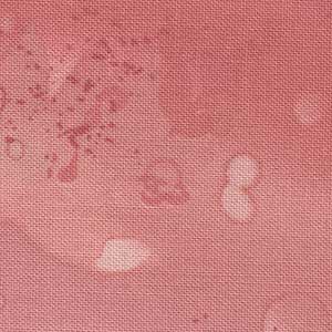 Fossil Fern - Painted Sunset | Benartex 00528-II