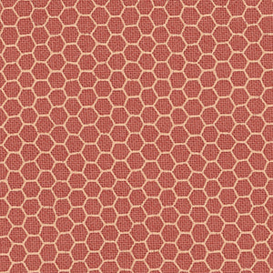 Nature Study - Pink Geometric | Windham Fabrics 52902-12