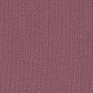 Century Solids - Purple Blender | Andover CS10-BERRY