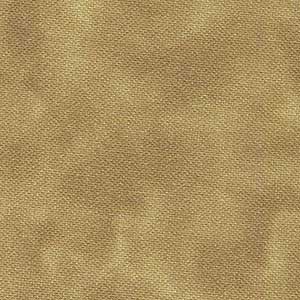 Color Dance - Tan | Quilting Treasures 29008-AE