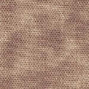 Color Dance - Light Brown | Quilting Treasures 29008-AK