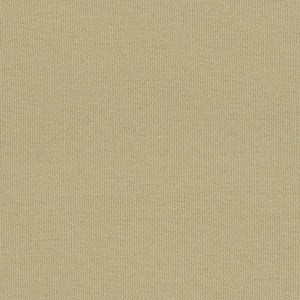 Century Solids - Sand Dollar | Andover CS10-SAND DOLLAR