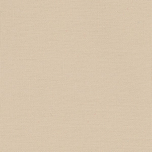 Century Solids - Tan Blender | Andover CS10-ALMOND