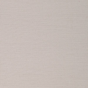 Century Solids - Tan Blender | Andover CS10-CHAMPAGNE