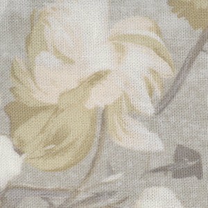 Enrapture - Covet | Free Spirit PWGG002-HUSH