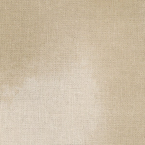 Riders on the Range - Tan | Wilmington Prints 89300-202