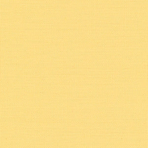Century Solids - Gold Blender | Andover CS10-BUTTER