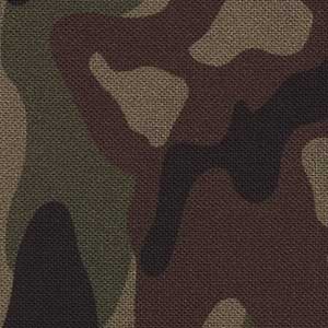 Crazy for Camo - Brown Novelty 108" Wide Back | Northcott B24238-36
