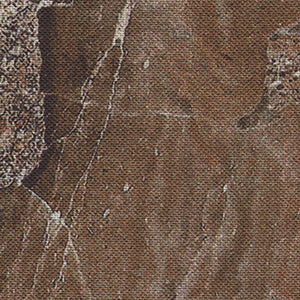 Stonehenge Surfaces - Brown Blender 108" Wide Back | Northcott B25051-36