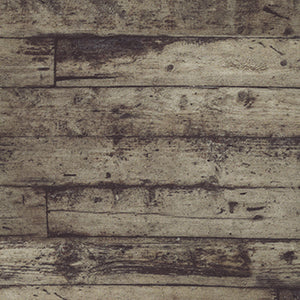 Palette Neutral - Black Novelty by Free Spirit