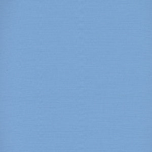 Century Solids - Blue Blender by Andover