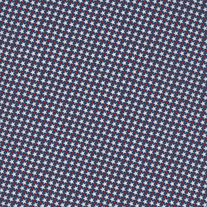 Americana - Blue Blender by Andover