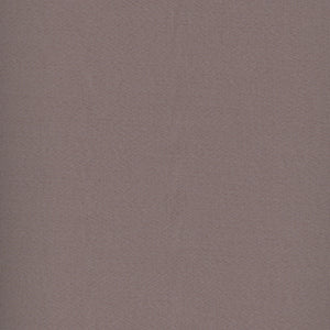 Century Solids - Brown Blender by Andover
