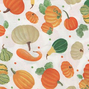 Pumpkins and Gourds - White by Benartex