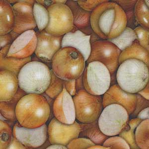 Fresh - Onions Fat Quarter by Quilting Treasures