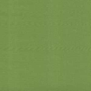 Bella Solids - Fresh Grass by Moda