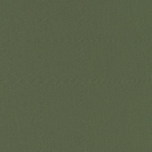 Bella Solids - Green Blender by Moda