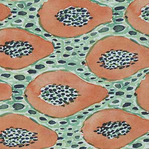 Wild & Fruity - Multicolor Fat Quarter by Quilting Treasures