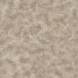 Color Dance - Light Khaki by Quilting Treasures