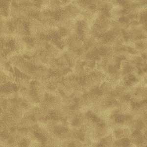 Color Dance - Tan by Quilting Treasures