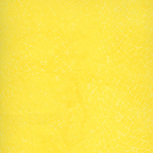 Anthology Batiks - Yellow Blender by Anthology Fabrics