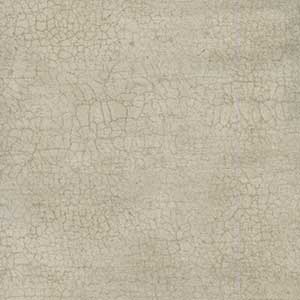Crackle - Cream Blender 108" Wide Back by Northcott