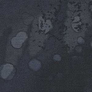 Fossil Fern - Black Blender Fat Quarter | Benartex 00528-51