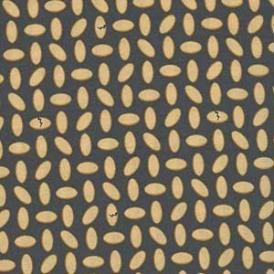 Dino Age - Black Blender Fat Quarter by Benartex