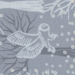 The Secret Winter Garden - Gray Novelty | Miscellaneous A660-1