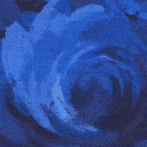 My Little Pony - Blue Novelty Panel | Camelot Fabrics 95010114P-01